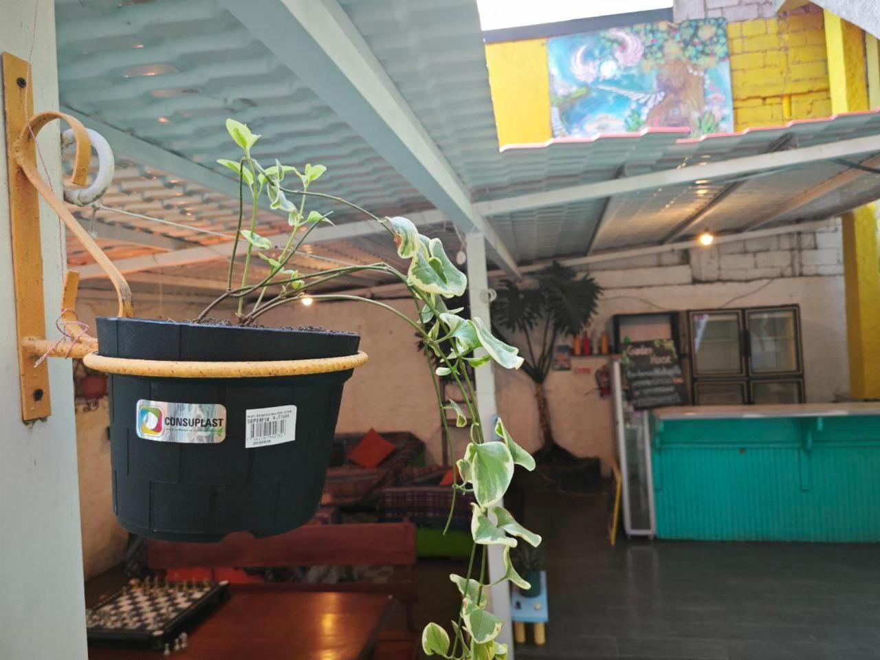Garden House Hostal Баньйос Екстер'єр фото