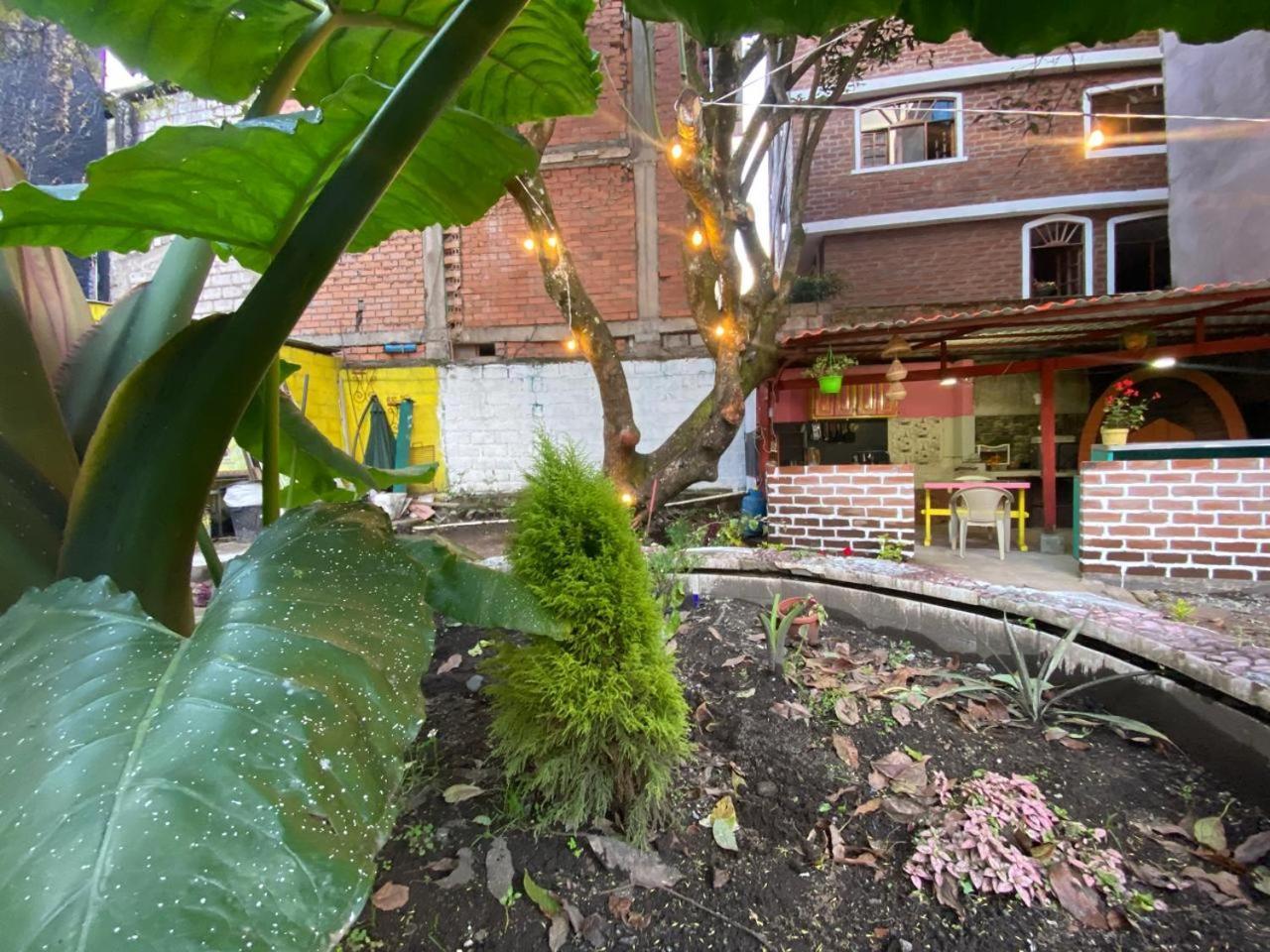 Garden House Hostal Баньйос Екстер'єр фото