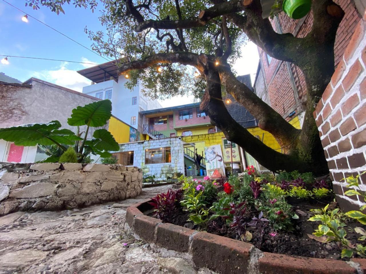 Garden House Hostal Баньйос Екстер'єр фото