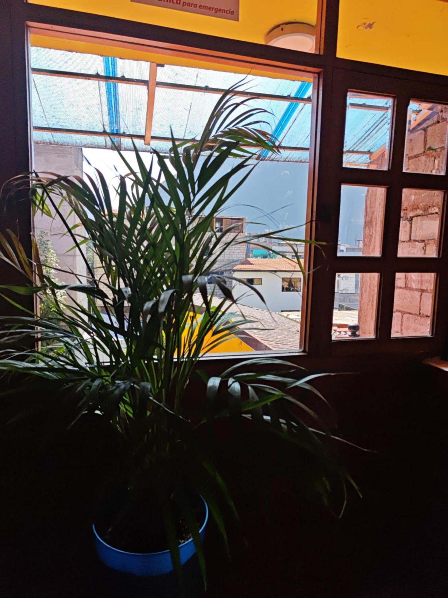 Garden House Hostal Баньйос Екстер'єр фото